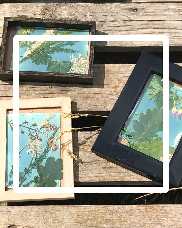 Visuel de l’événement « Capturer le temps : Cyanotype et anthotype d’hiver »