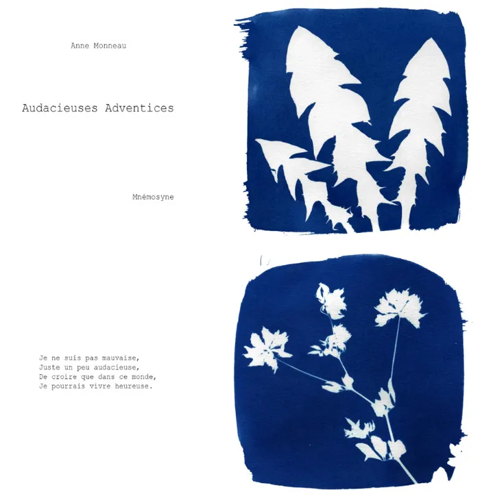 Visuel de l’événement « Atelier cyanotype avec l’artiste Anne Monneau »