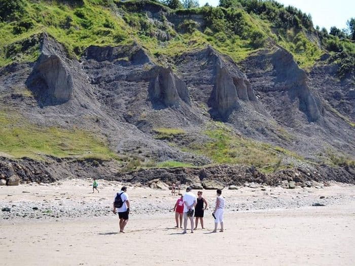 Visuel de l’événement « Visite guidée des falaises des Vaches noires »