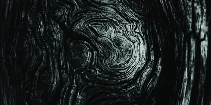 Visuel de l’événement « Relier »