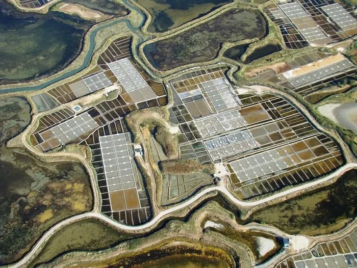 Visuel de l’événement « Conférence : L'interaction des énergies humaines et animales dans les marais salants »
