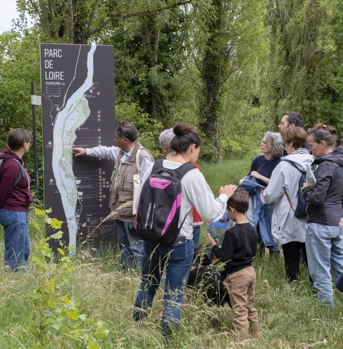 Visuel de l’événement « Balade découverte de la biodiversité du parc de Loire »