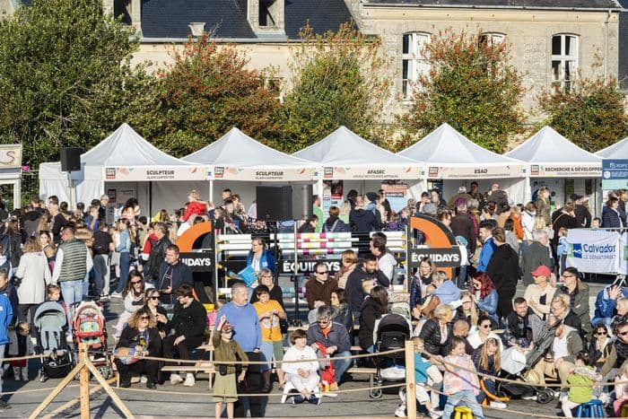 Visuel de l’événement « Village des Équidays à Bayeux »