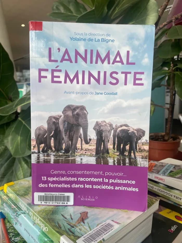 Visuel de l’événement « Table ronde : L'animal féministe »