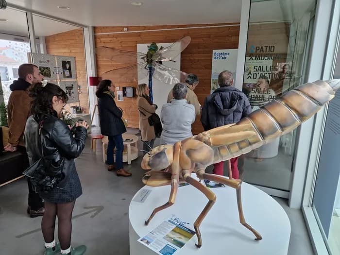 Visuel de l’événement « Exposition Libellules »