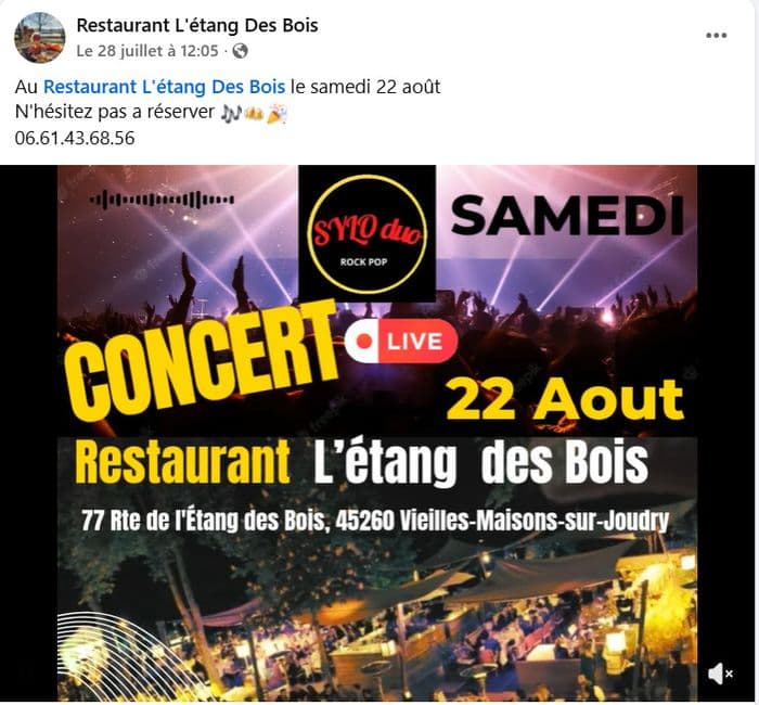 Visuel de l’événement « Concert Sylo Duo (rock pop) »