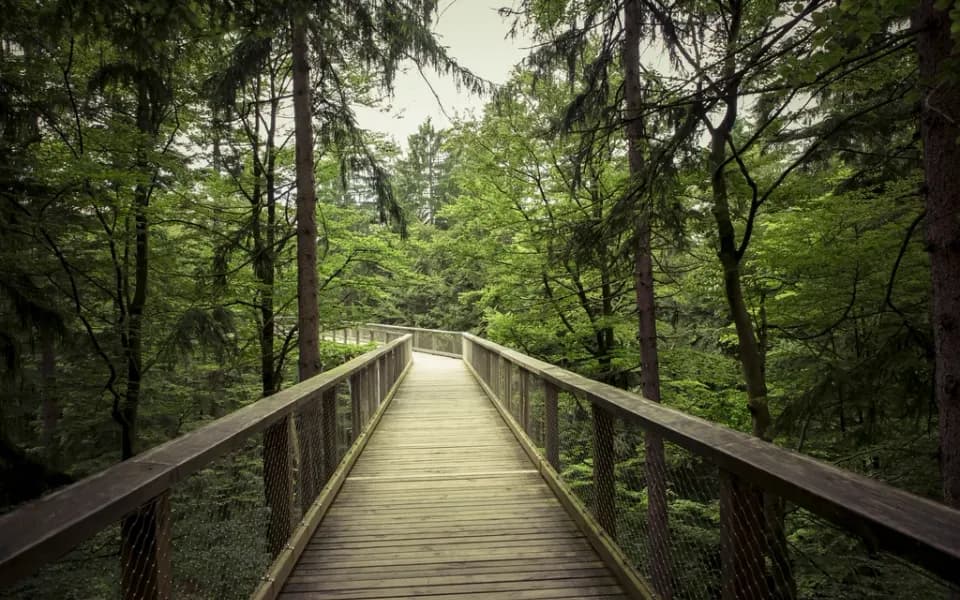Photo d’illustration : une promenade en pleine nature