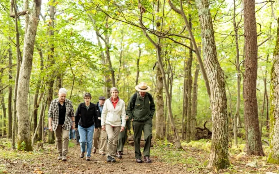 Photo d’illustration : une promenade en pleine nature