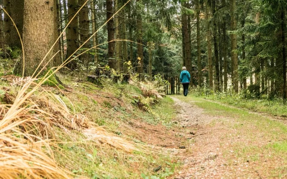 Photo d’illustration : une promenade en pleine nature