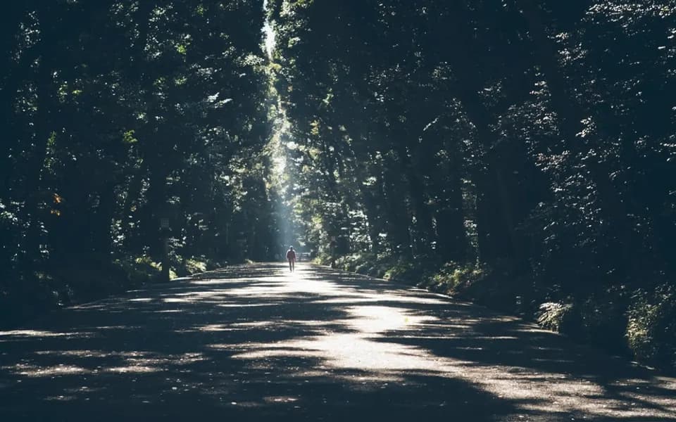 Photo d’illustration : une promenade en pleine nature
