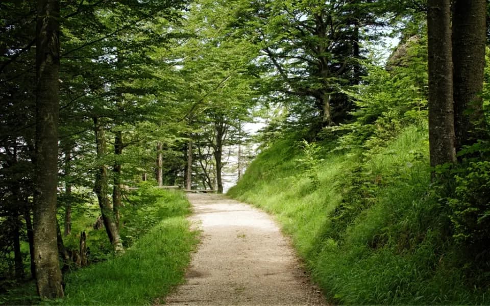 Photo d’illustration : une promenade en pleine nature