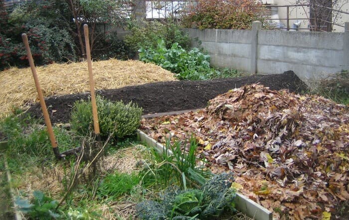 Visuel de l’événement « Jardinons ! Comprendre les grands principes de la permaculture »