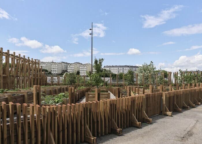 Visuel de l’événement « Le Potager de la Cantine »