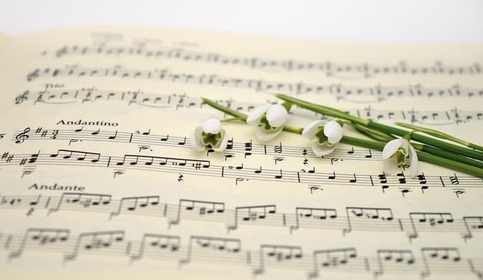 Visuel de l’événement « Les moments musicaux »