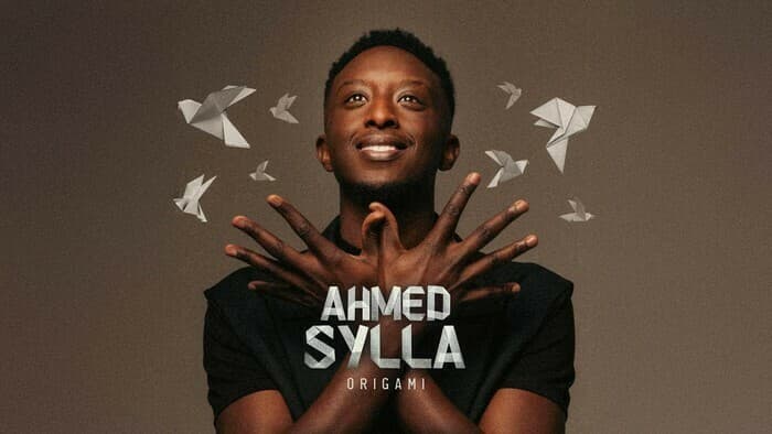 Visuel de l’événement « Ahmed Sylla : Origami »