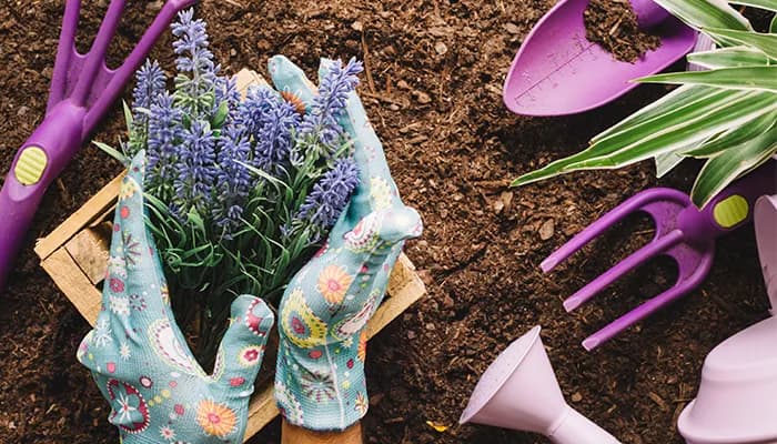 Visuel de l’événement « Permanence jardin »
