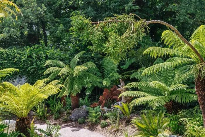Visuel de l’événement « Jurassic Plantes - Rencontre et dédicaces au jardin personnel d'André Eve »