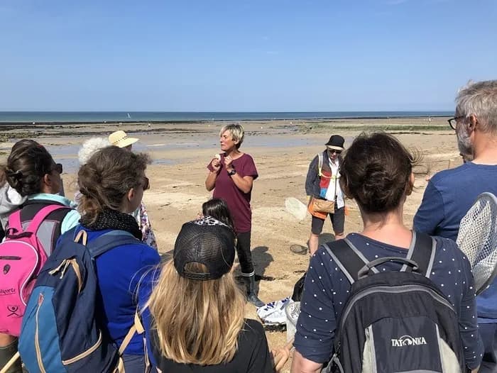 Visuel de l’événement « Environnement et créatures de la plage »