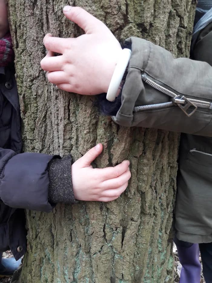 Visuel de l’événement « La brigade des bois : protège ta forêt! »