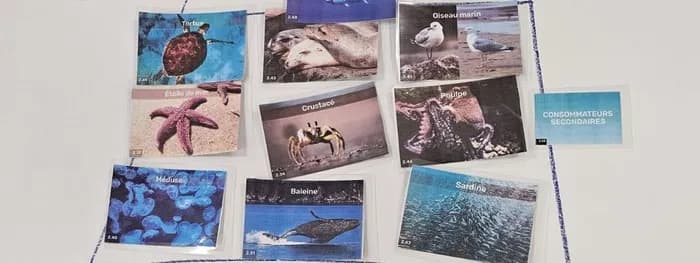 Visuel de l’événement « Fresque océane »