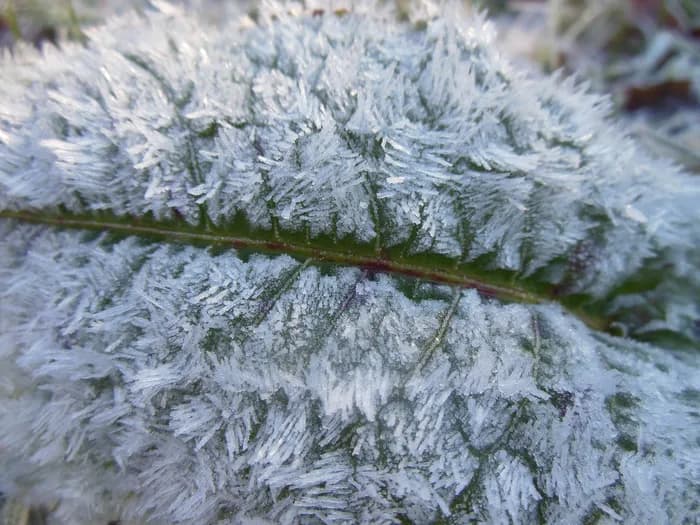 Visuel de l’événement « Contes aux temps de Noël et de l’hiver »