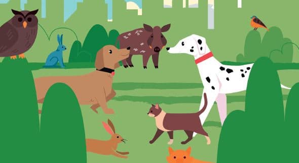 Visuel de l’événement « Village associatif "Bien-être animal" »
