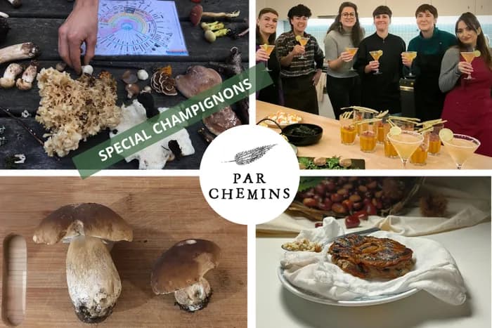 Visuel de l’événement « Champignons sauvages en forêt : journée immersive »