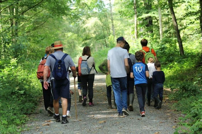 Visuel de l’événement « Sortie nature “Sur les traces des canidés sauvages” »