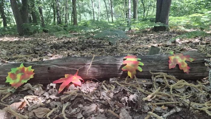 Visuel de l’événement « Guirlande de feuilles d’automne et d’encre »