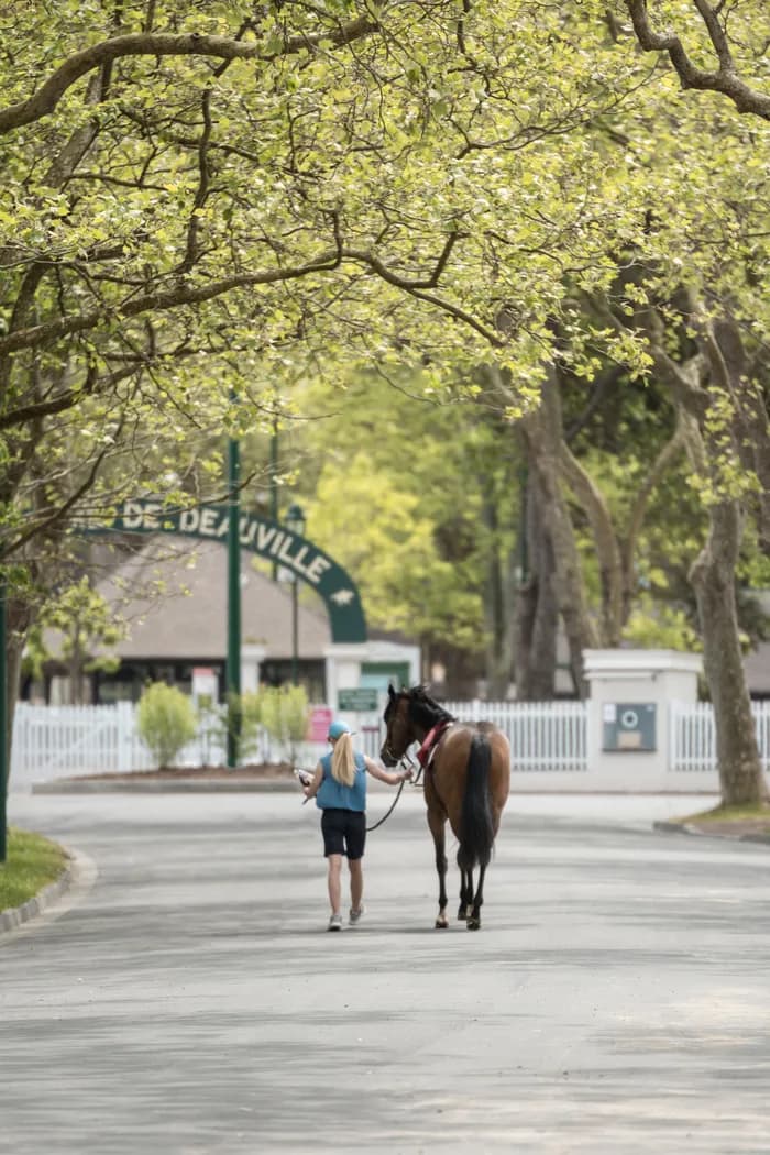 Visuel de l’événement « Visite guidée : Deauville, une passion pour le cheval »