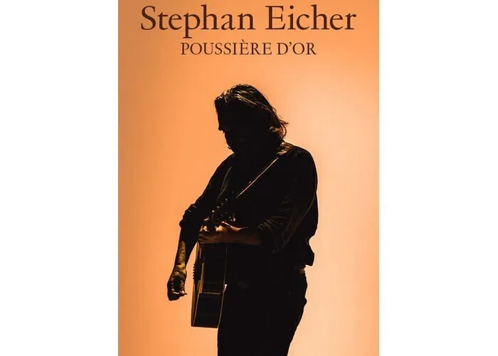 Visuel de l’événement « Stephan Eicher : Poussière d'Or »