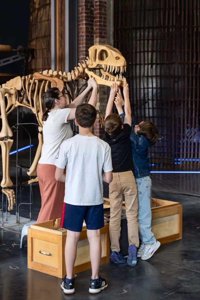 Visuel de l’événement « Atelier flash : squelette de dino à reconstituer »